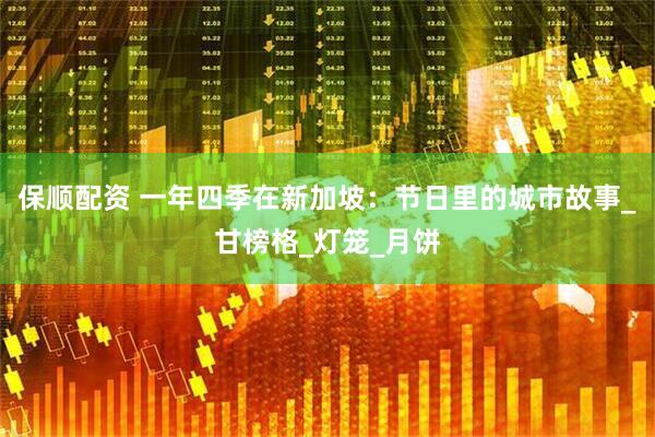 保顺配资 一年四季在新加坡:节日里的城市故事_甘榜格_灯笼_月饼