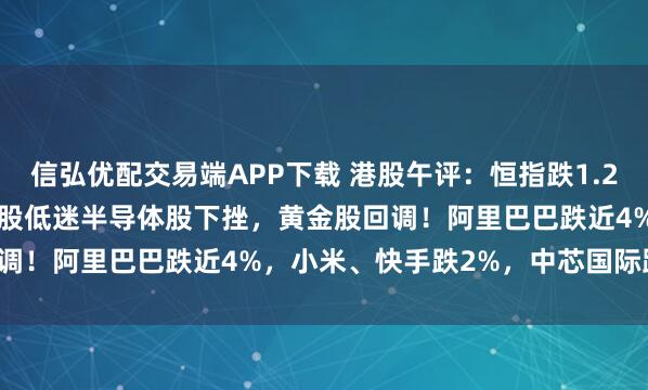 信弘优配交易端APP下载 港股午评:恒指跌1.21%险守25000点,金融股低迷半导体股下挫,黄金股回调!阿里巴巴跌近4%,小米、快手跌2%,中芯国际跌超6%